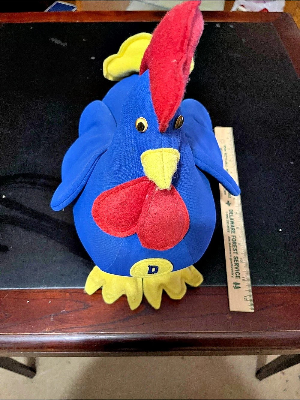 University of Delaware Blue Hen